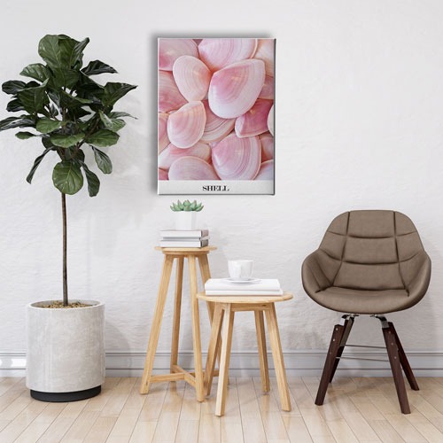 Shell Canvas Tablo