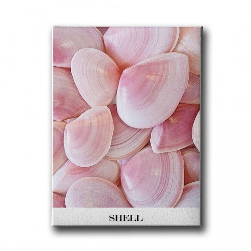 Shell Canvas Tablo