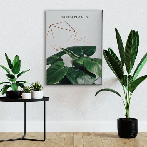 Green Plants Canvas Tablo