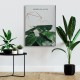 Green Plants Canvas Tablo