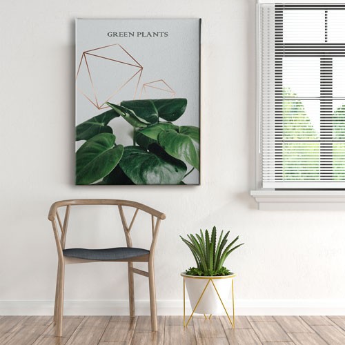 Green Plants Canvas Tablo