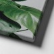 Green Plants Canvas Tablo