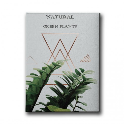 Green Plants Canvas Tablo