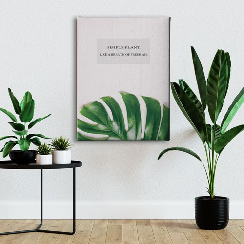 Green Plants Canvas Tablo