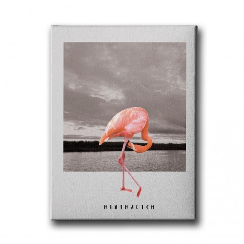 Flamingo Canvas Tablo 