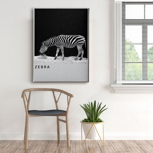 Zebra Canvas Tablo